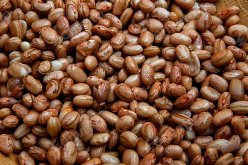 Preview: Phaseolus Vulgaris Is Scientific Name Of Pinto Bean Legume. Also Known As Frijol Pinto And Feijao