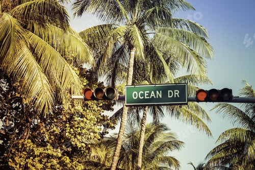 Preview: Coconut Palm Trees Against Ocean Drive Sign In Miami Beach, Florida