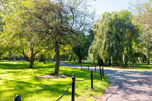 Preview: Boston Common Frog Pond Is A Central Public Garden Park In Downtown Boston, Massachusetts. And City