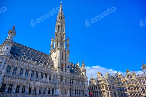 Preview: The Town Hall Of The City Of Brussels Is A Gothic Building From The Middle Ages. It Is Located On
