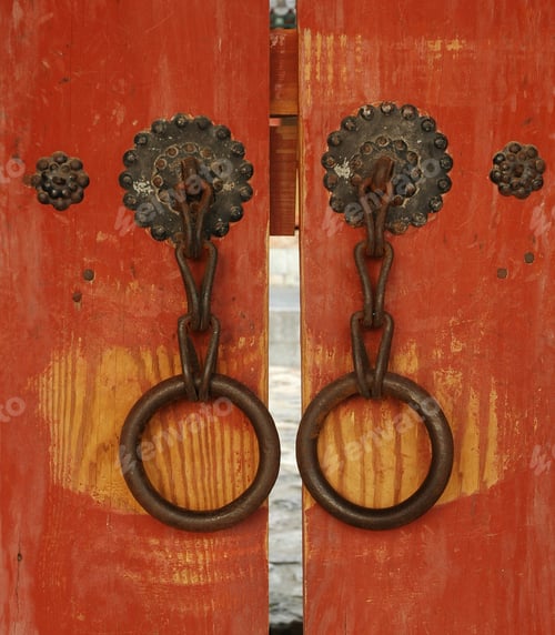 Preview: Ornate Metal Door Knockers on a Wooden Door