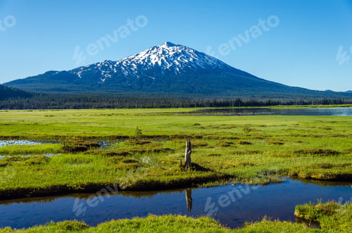 Preview: Mount Bachelor Viewed From A Lush Green Meadow In Central Oregon
