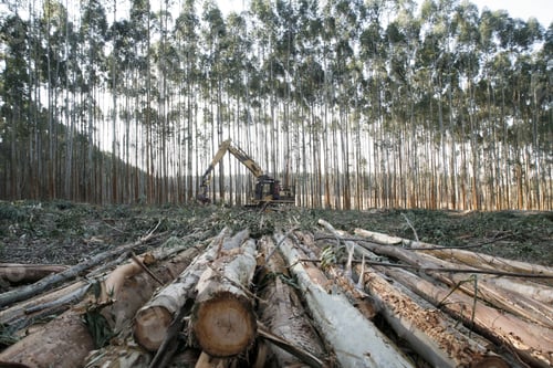 Preview: Logging Equipment