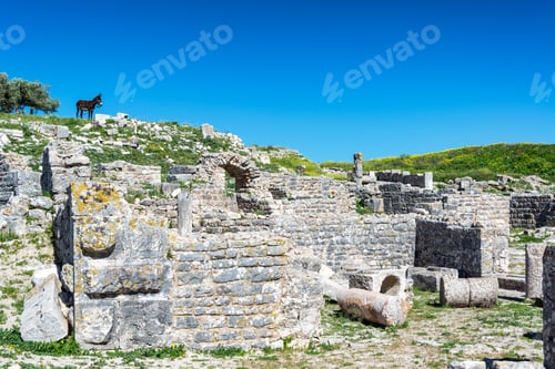 Preview: A Lone Donkey Overlooking The Ancient Roman Ruins Of Dougga, Tunisia
