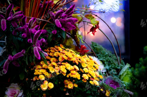 Preview: Floral Still Life At Night With Vibrant Colors And Bokeh Lights