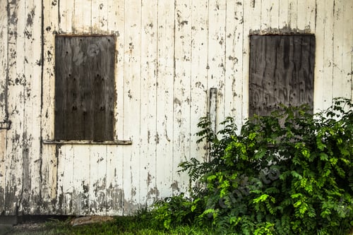 Preview: Abandoned White Painted Exterior Barn Wall With Boarded Windows