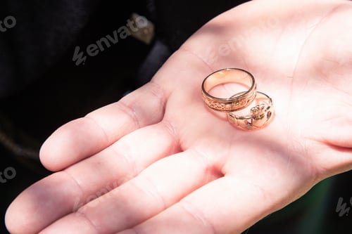 Preview: A High Angle Selective Focus Shot Of A Person Holding Wedding Rings