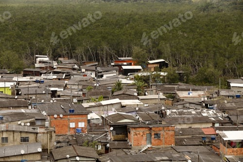 Preview: Slum Invades Atlantic Forest In Area Of Mangrove Ecosystem In Santos, Coastal City In Sao Paulo