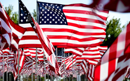 Preview: Field Of American Flags