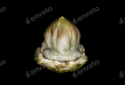 Preview: Beautiful Cooked Artichoke Still Life Isolated On Black