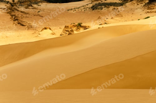 Preview: View Looking Down A Sand Dune In Macuira National Park In La Guajira, Colombia