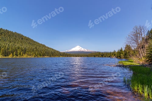 Preview: Wide Angle View Of Mt. Hood And Trillium Lake In Oregon