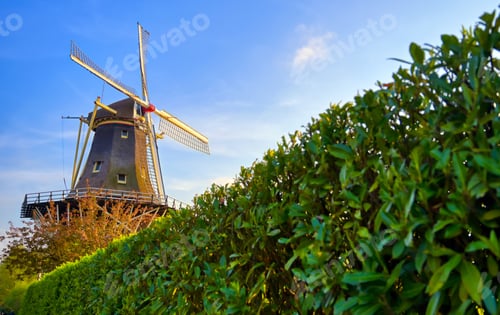 Preview: Historic Windmills Located In Kralingen Lake In Rotterdam, The Netherlands.