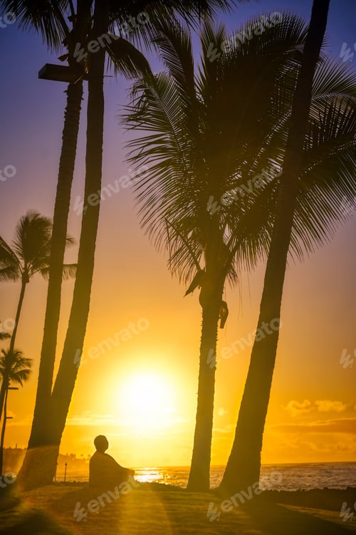 Preview: A Silhouette Watches The Sunrise On Kauai, Hawaii.