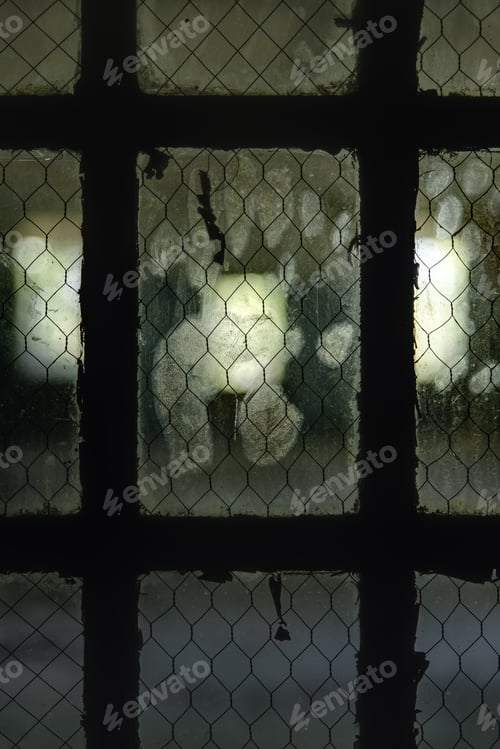Preview: Greasy Handprints Are Visible On A Wired Glass Window Inside A Long Abandoned Hospital.