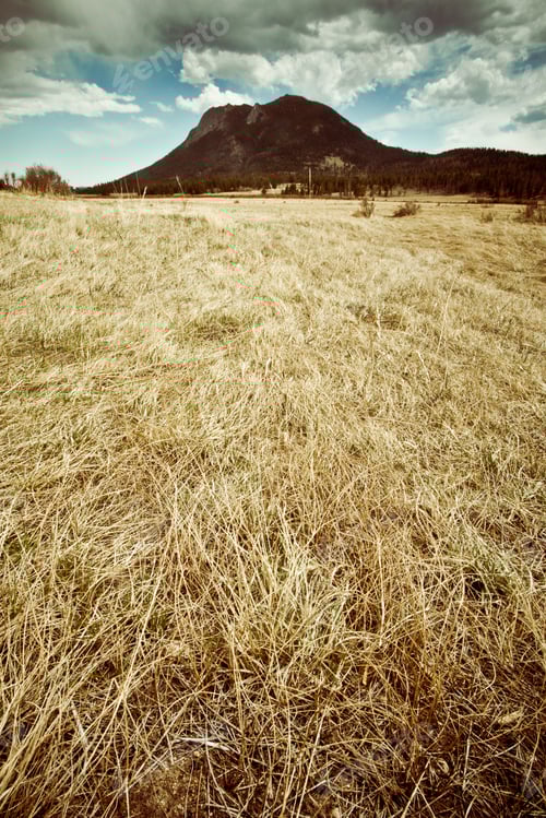 Preview: View From Rocky Mountain National Park In Colorado With Mountains In The Background Of Grassy