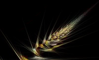 Preview: Wheat Shaped Fractal