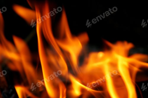 Preview: Fire