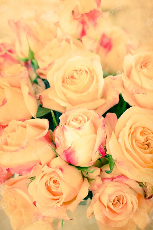 Preview: Yellow Roses With Pink Tips With Vintage Texture