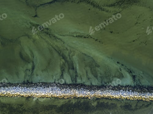 Preview: National Seashore In Cape Code, Massachusetts Usa
