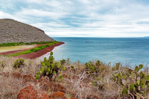 Vorschau: Blick auf den roten Strand auf der Insel Santiago auf den Galapagosinseln in Ecuador