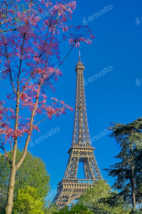 Preview: A View Of The Eiffel Tower In Paris, France.