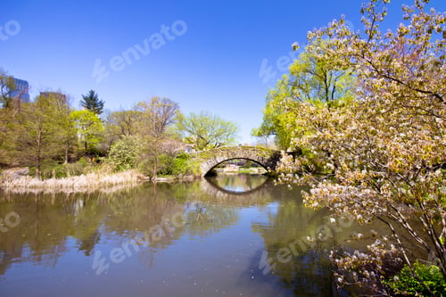 Preview: Central Park In New York City In Spring Bloom