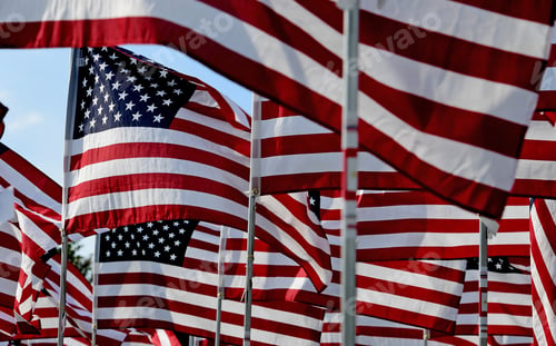 Preview: Field Of American Flags