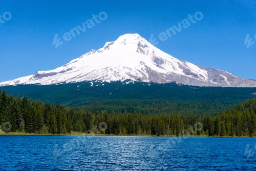 Preview: View Of Trillium Lake And Mt Hood In Oregon
