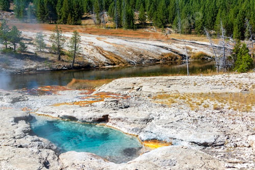 Preview: View Of Spiteful Geyser On The Shore Of The Firehole River In Yellowstone National Park