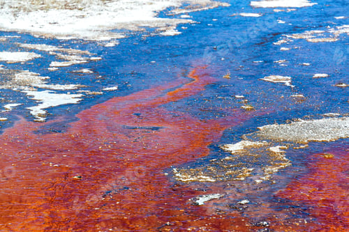 Preview: Colorful Red Bacteria Mat At West Thumb Geyser Basin In Yellowstone National Park