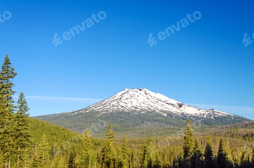 Preview: Early Summer View Of Mt. Bachelor With A Beautiful Green Forest Below It.