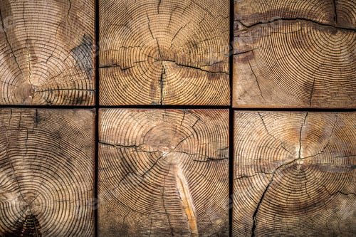 Preview: Wood Texture With Grain And Concentric Circles.