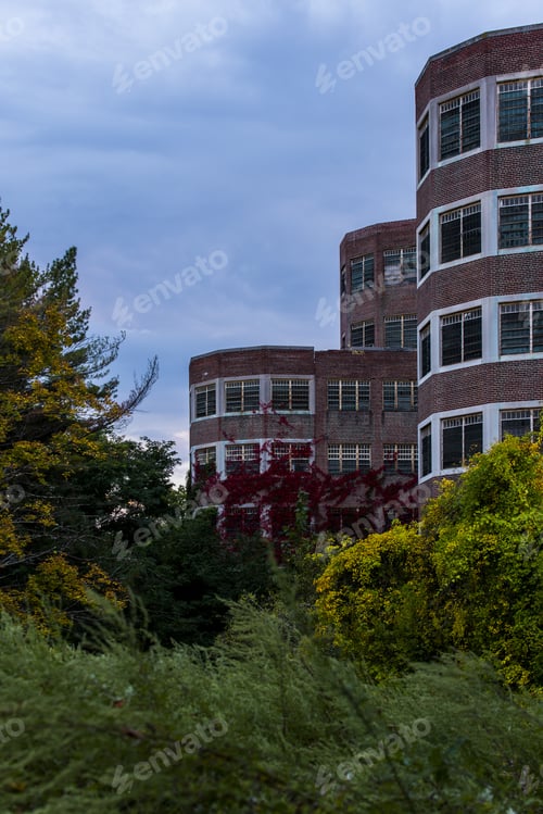 Preview: A Late Evening / Blue Hour View Of The Cheney Memorial Building Surrounded By Yellow Goldenrods And