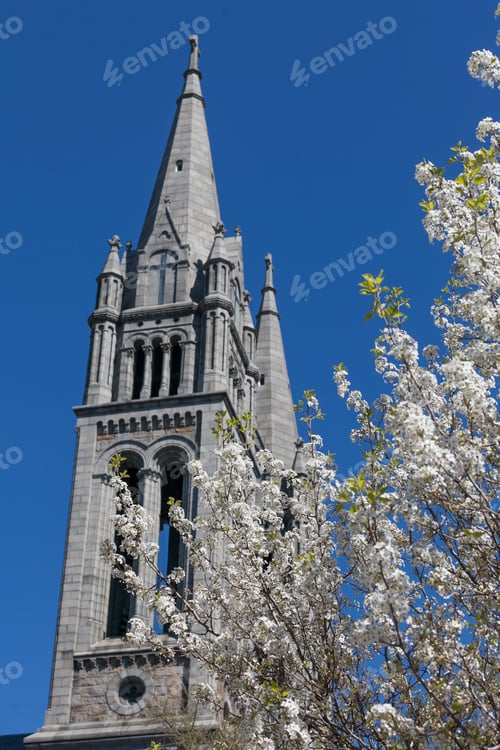 Aperçu: Season Of Spring In Boston