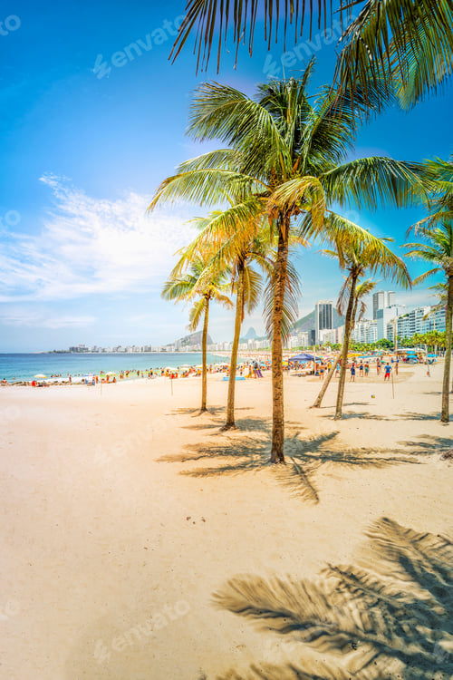 Preview: Palms With Sunshine On Copacabana Beach. Lighrt Effect. Rio De Janeiro, Brazil