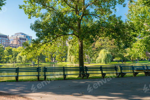 Preview: Boston Common Frog Pond Is A Central Public Garden Park In Downtown Boston, Massachusetts. And City