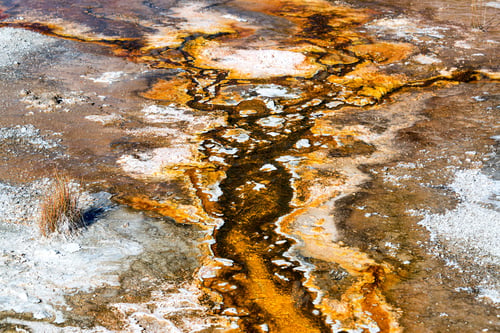 Preview: Bacteria Mat Growth In The Upper Geyser Basin At Yellowstone National Park