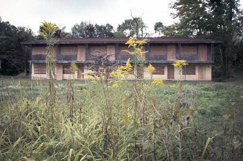 Preview: Overgrown Weeds With Abandoned Motel In The Background