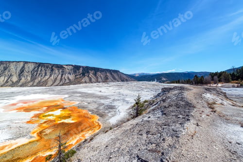 Preview: Beautiful Bacteria Mat And Landscape Near Mammoth Hot Springs In Yellowstone National Park