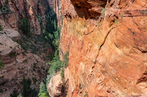 Preview: Looking Down Into A Steep Narrow Canyon In Zion National Park