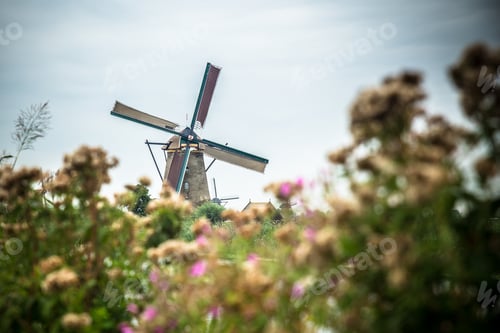 Preview: Dutch Windmill And Surrounding Landscape At Kinderdijk In Netherlands