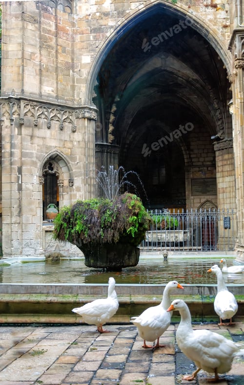 Preview: Geese And Fountain In The Cathedral In Barcelona, Spain