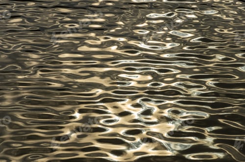 Preview: Dark Water Ripples Catching The Light Of The Sun