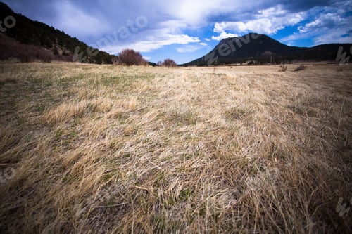 Preview: View From Rocky Mountain National Park In Colorado With Mountains In The Background Of Grassy