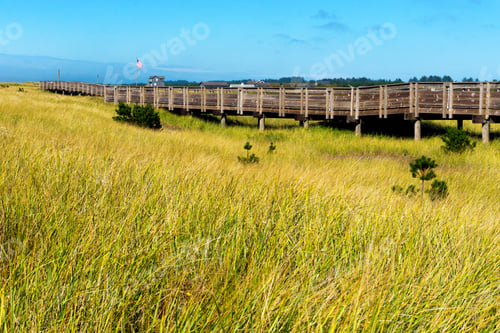 Preview: View Of The Grasslands From The Wooden Walkway Near Long Beach, Washington