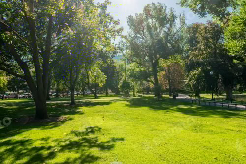 Preview: Boston Common Frog Pond Is A Central Public Garden Park In Downtown Boston, Massachusetts. And City