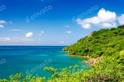 Preview: Lush Tropical Coastline Of Caribbean Island Of San Andres Y Providencia In Colombia