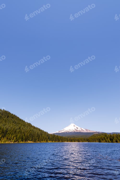Preview: Vertical View Of Mt. Hood And Trillium Lake In Oregon