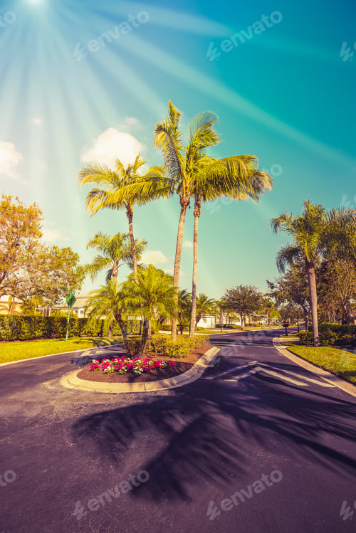 Preview: Gated Community Road With Palms, South Florida. Vintage Colors With Sun Rays